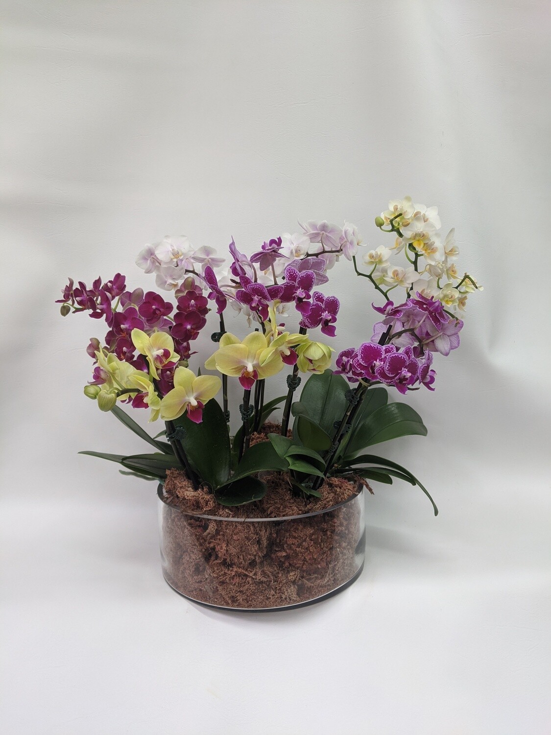 Exquisite Orchid Centerpiece