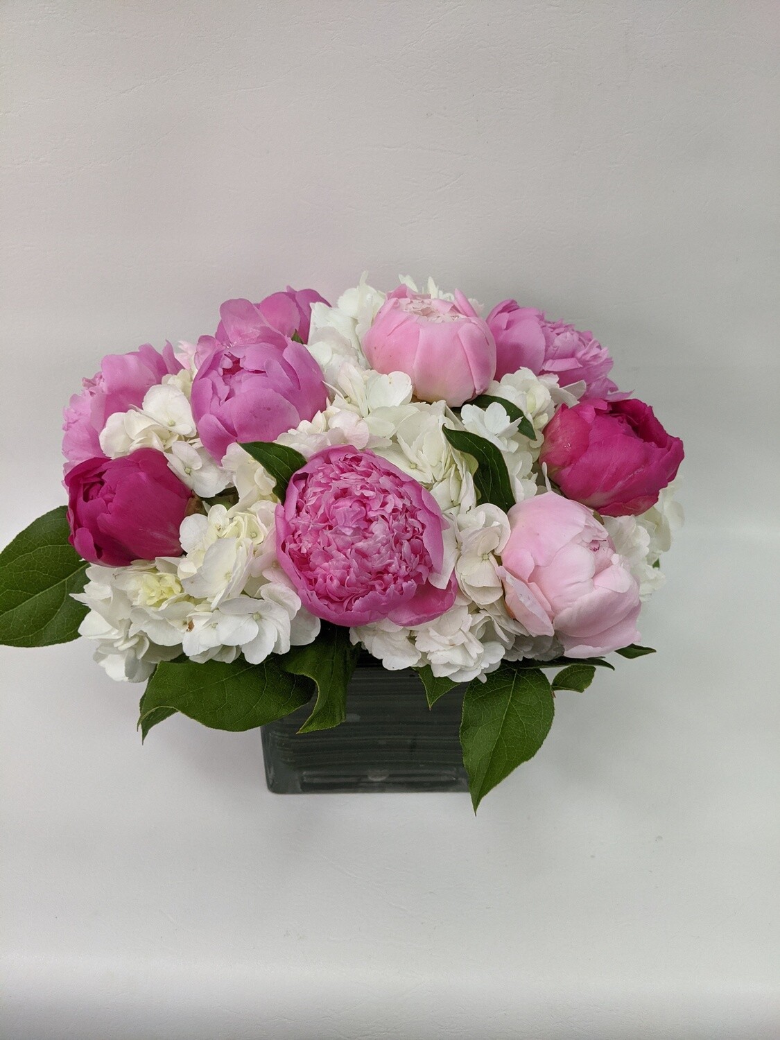 Peony Heaven
