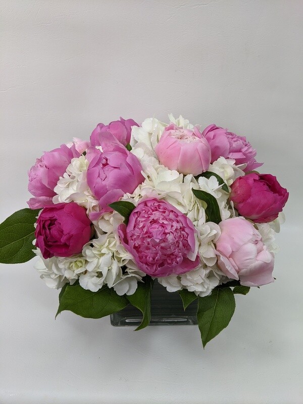 Peony Heaven