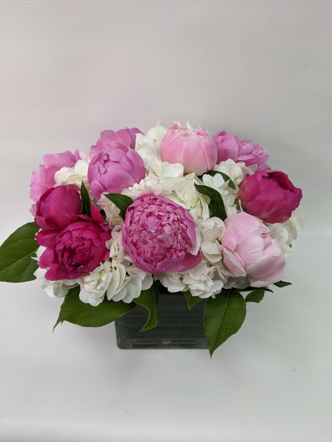 Peony Heaven