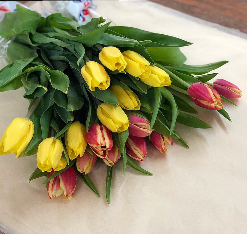 Tulip Bouquet