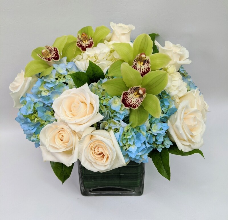 Heavenly Blue