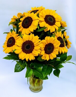 1 Dozen Stunning Sunflowers