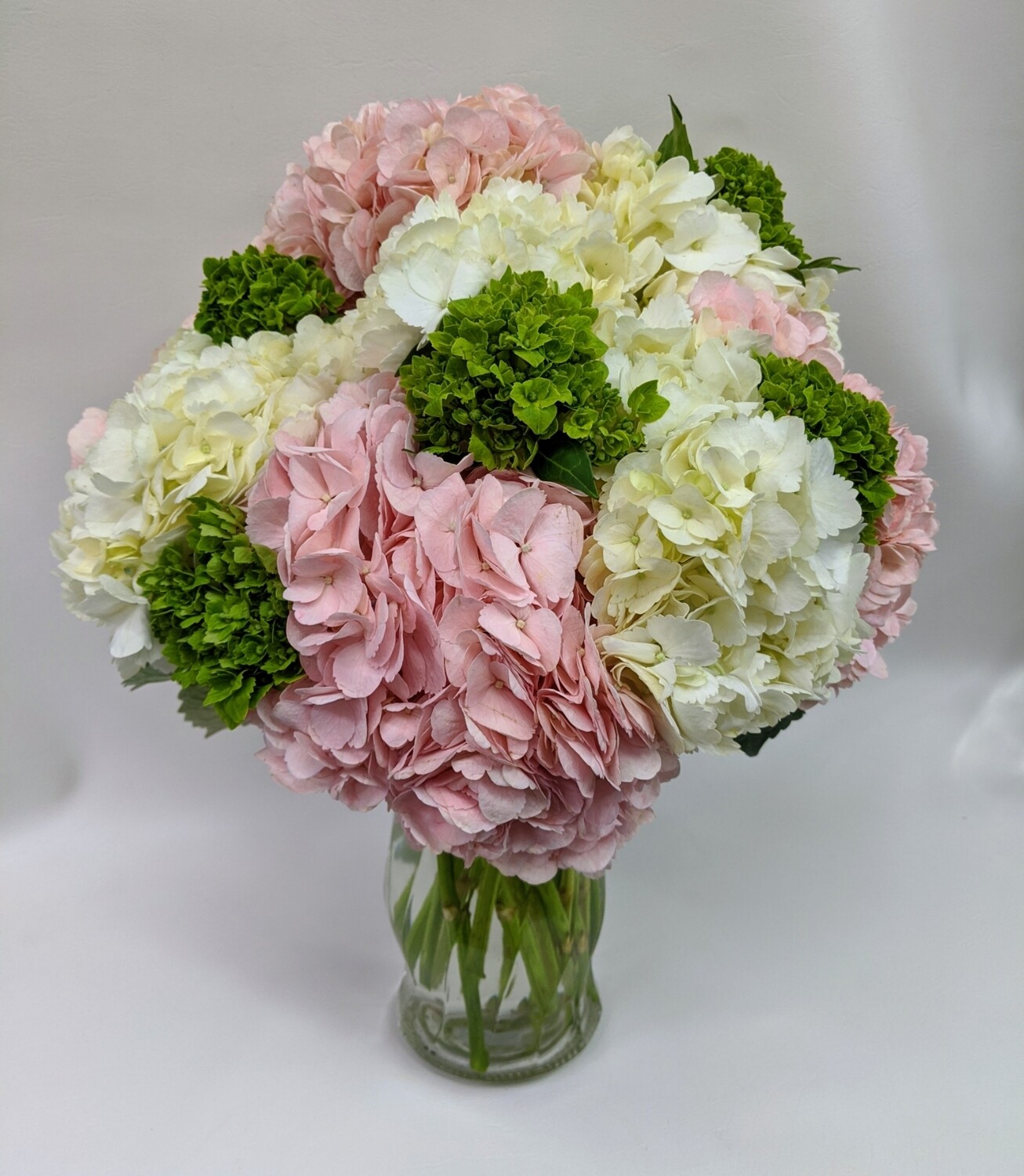Hydrangea Chic