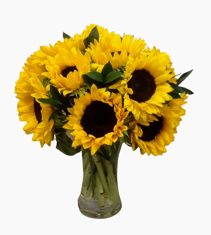 1 Dozen Stunning Sunflowers