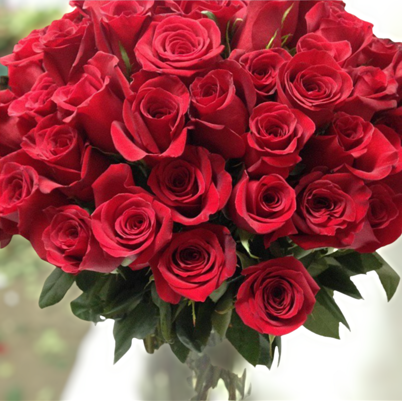 2 Dozen Roses In A Tall Vase