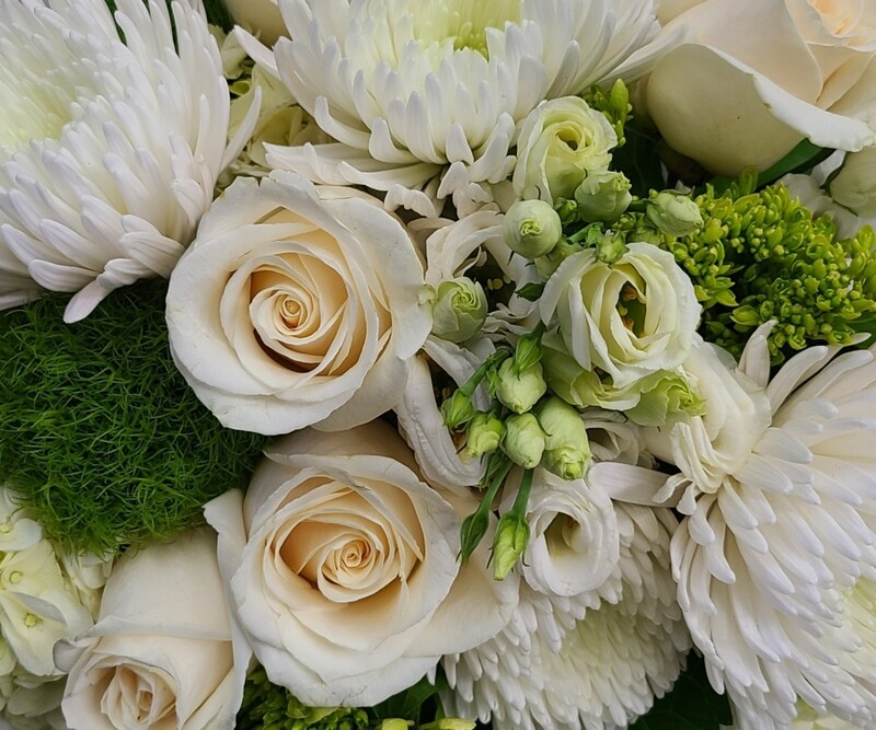 Designer Choice - Neutral Colors