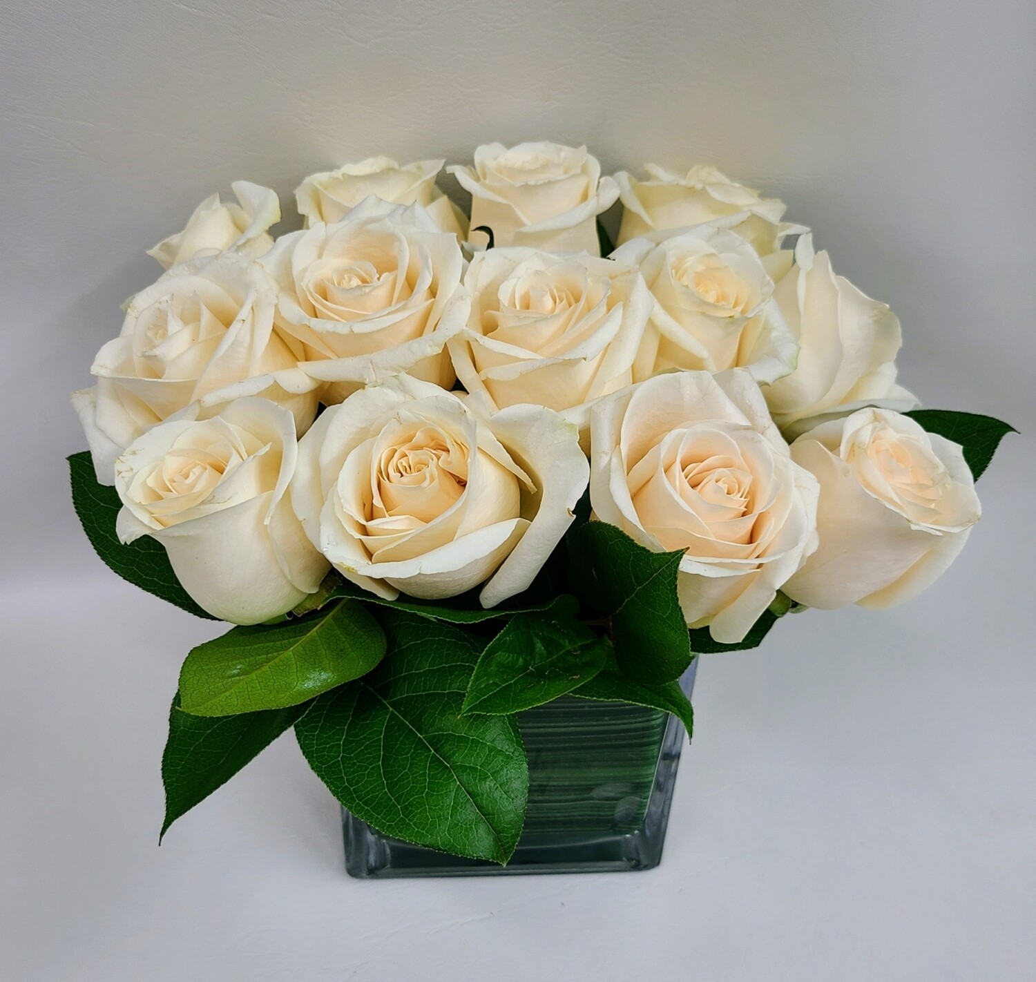 dozen white roses