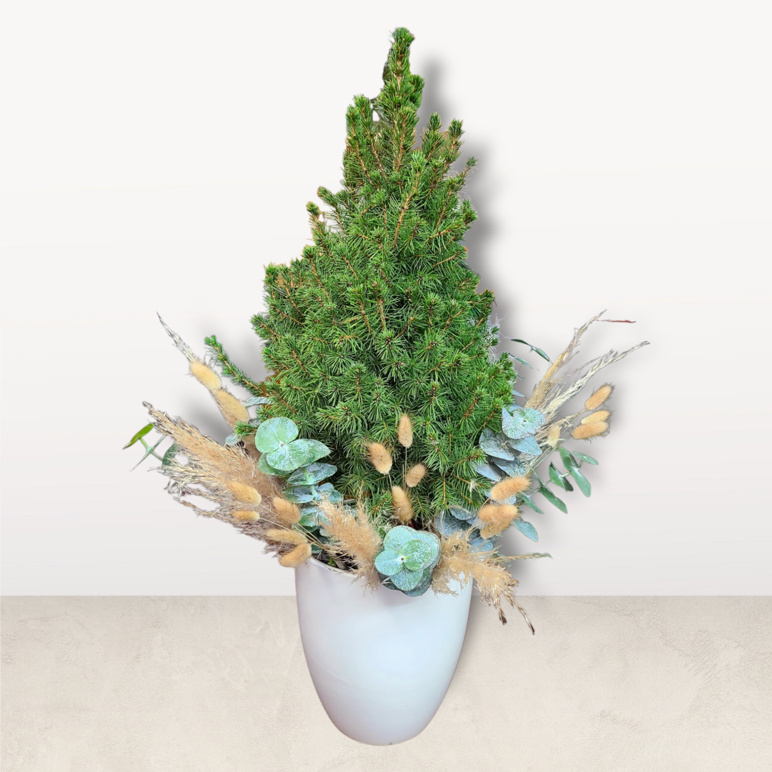 3’ Living Christmas Tree With Natural Decor