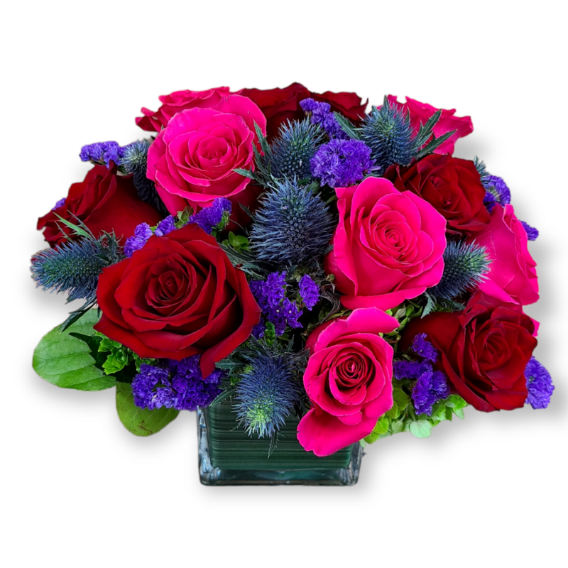 Roses Are Red Violets Are Blue