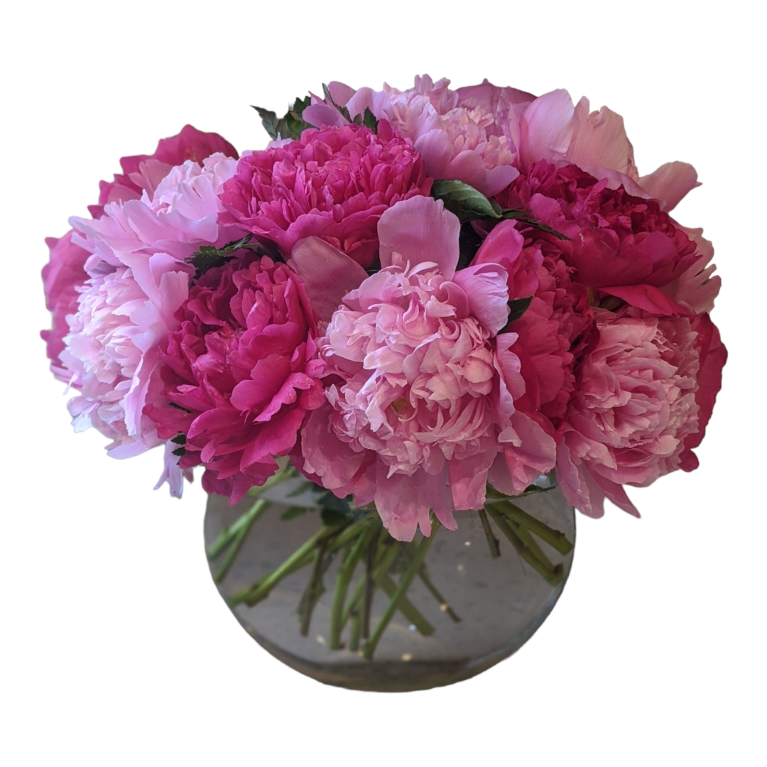 Simply Peonies Simply Peonies
