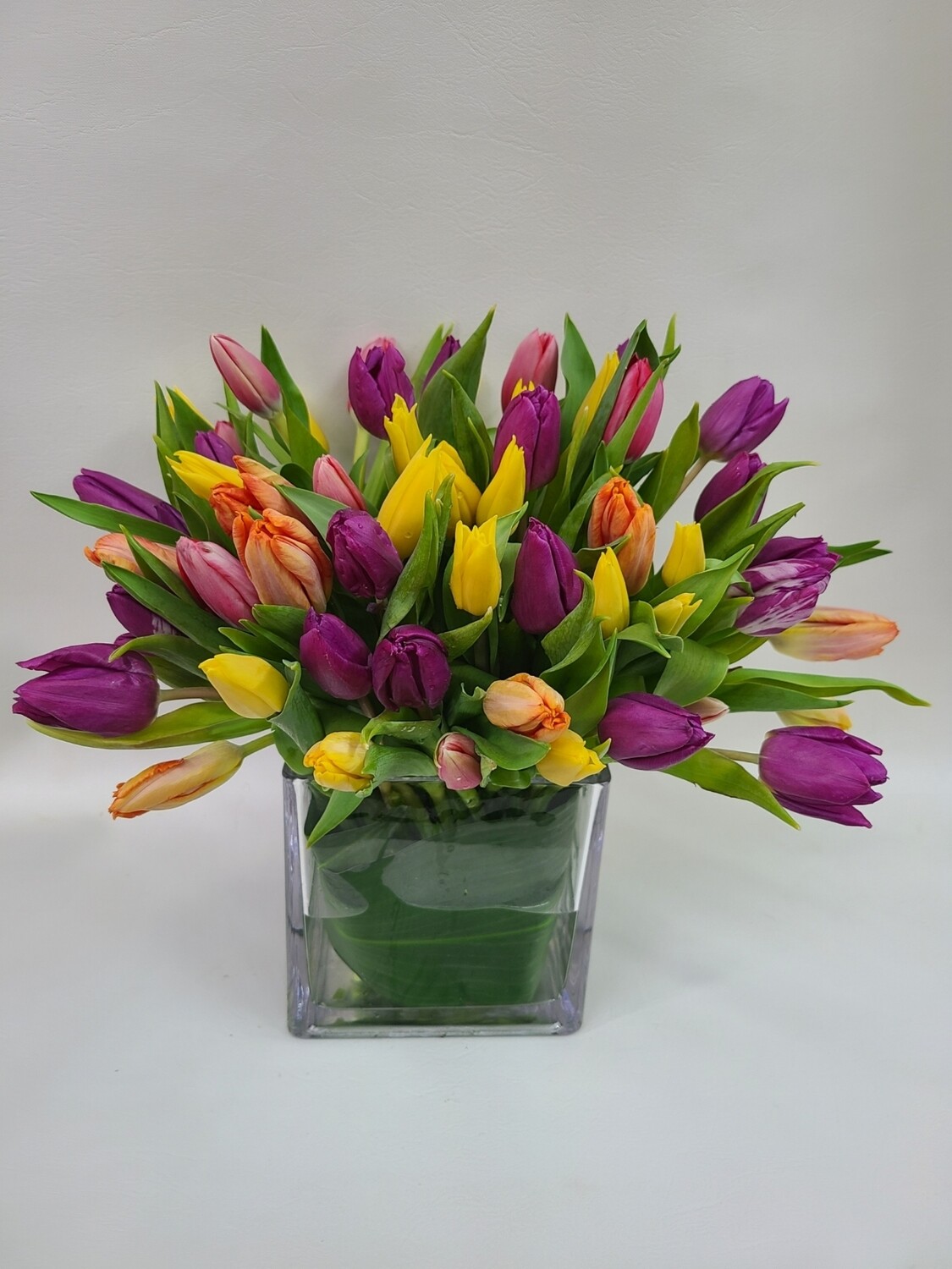 RainbowTulips RainbowTulips