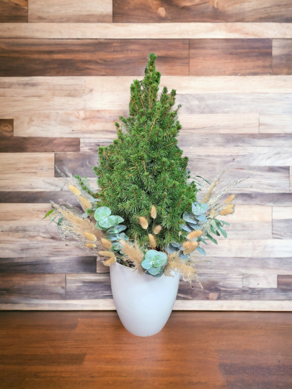3’ Living Christmas Tree With Natural Decor