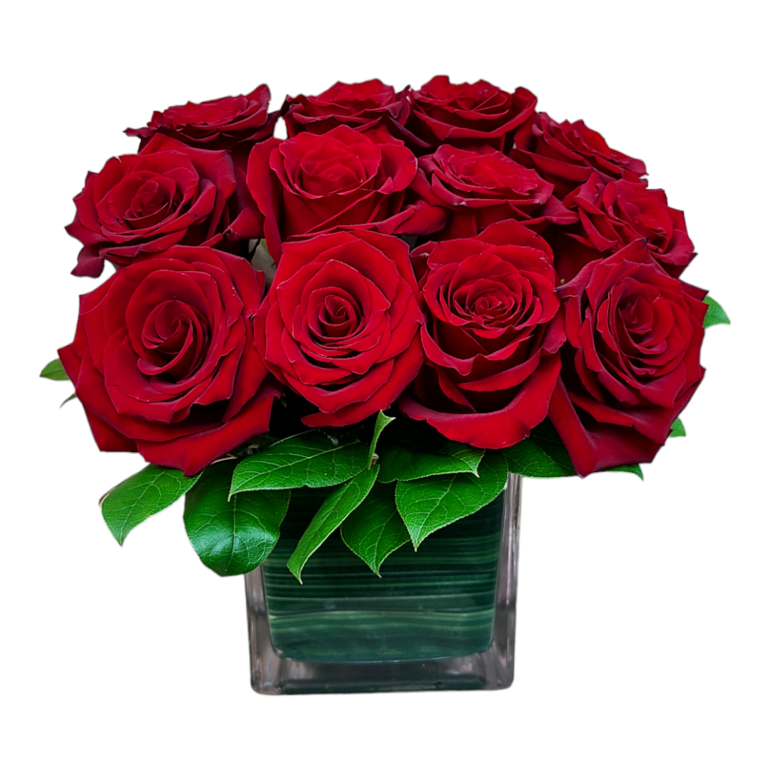 Modern Roses