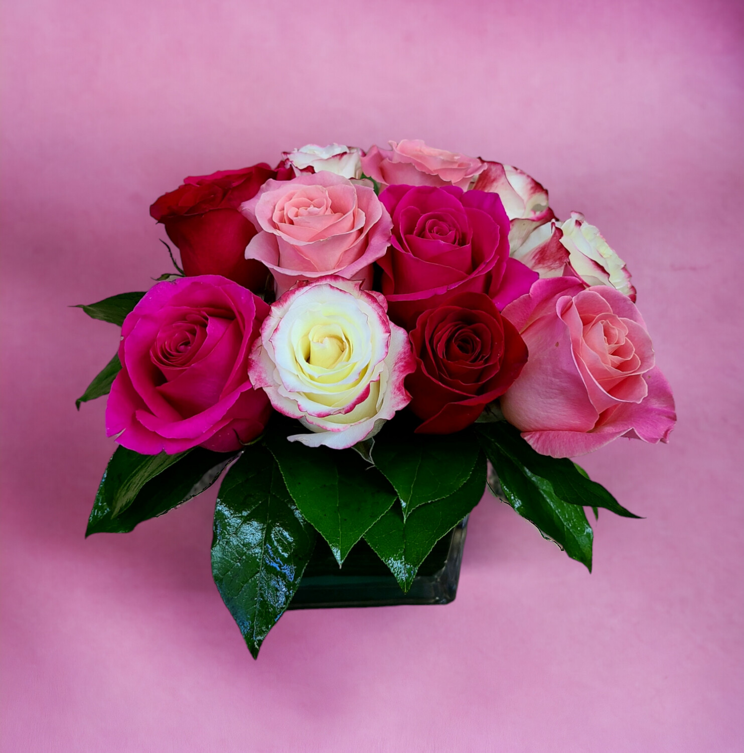 Mixed Modern Roses