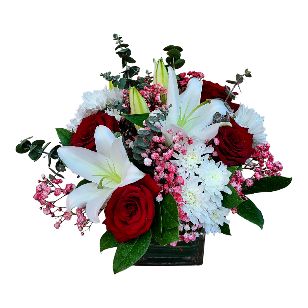 Designer Choice - Reds And Whites