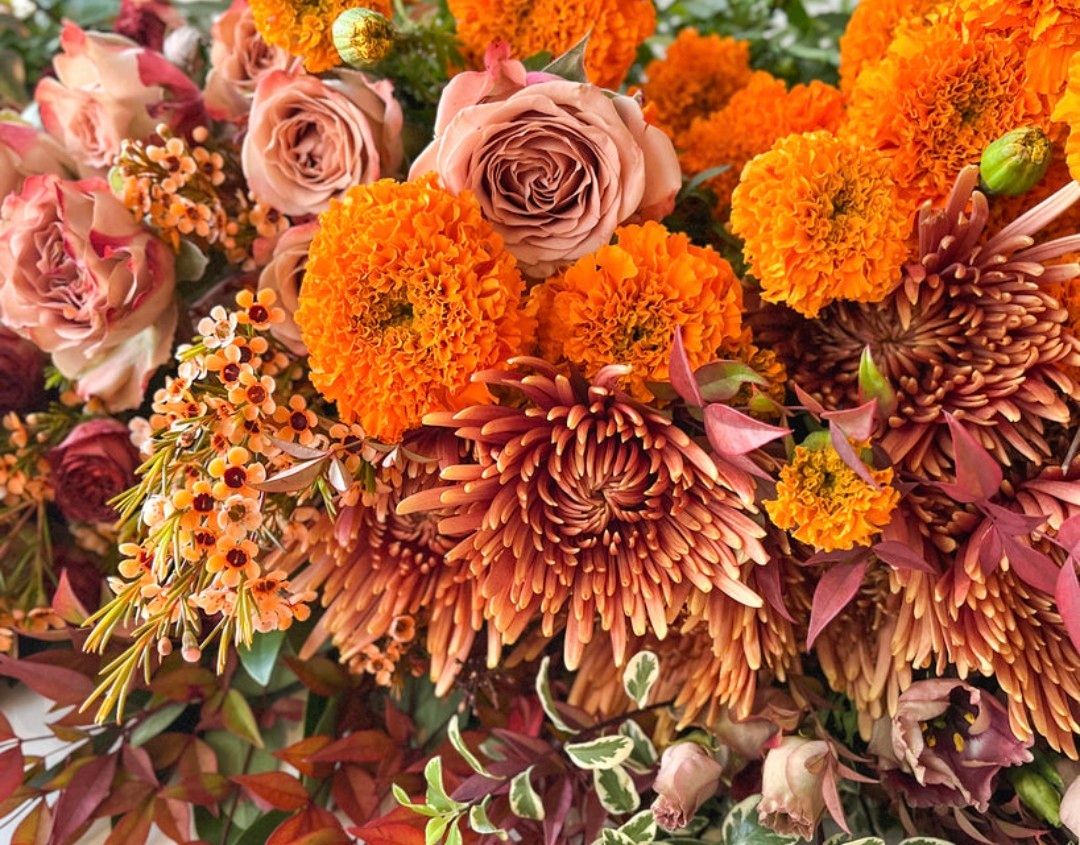 Designer Choice - Fall Colors Designer Choice - Fall Colors