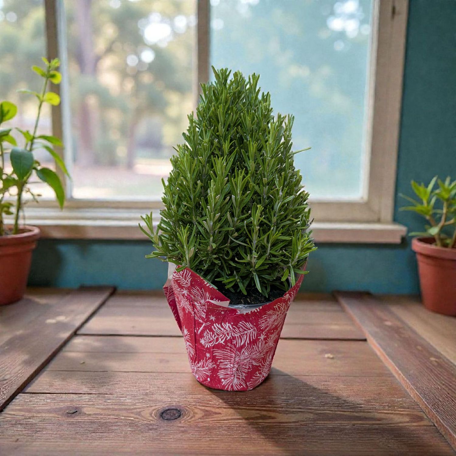 Modern Christmas Rosemary Modern Christmas Rosemary