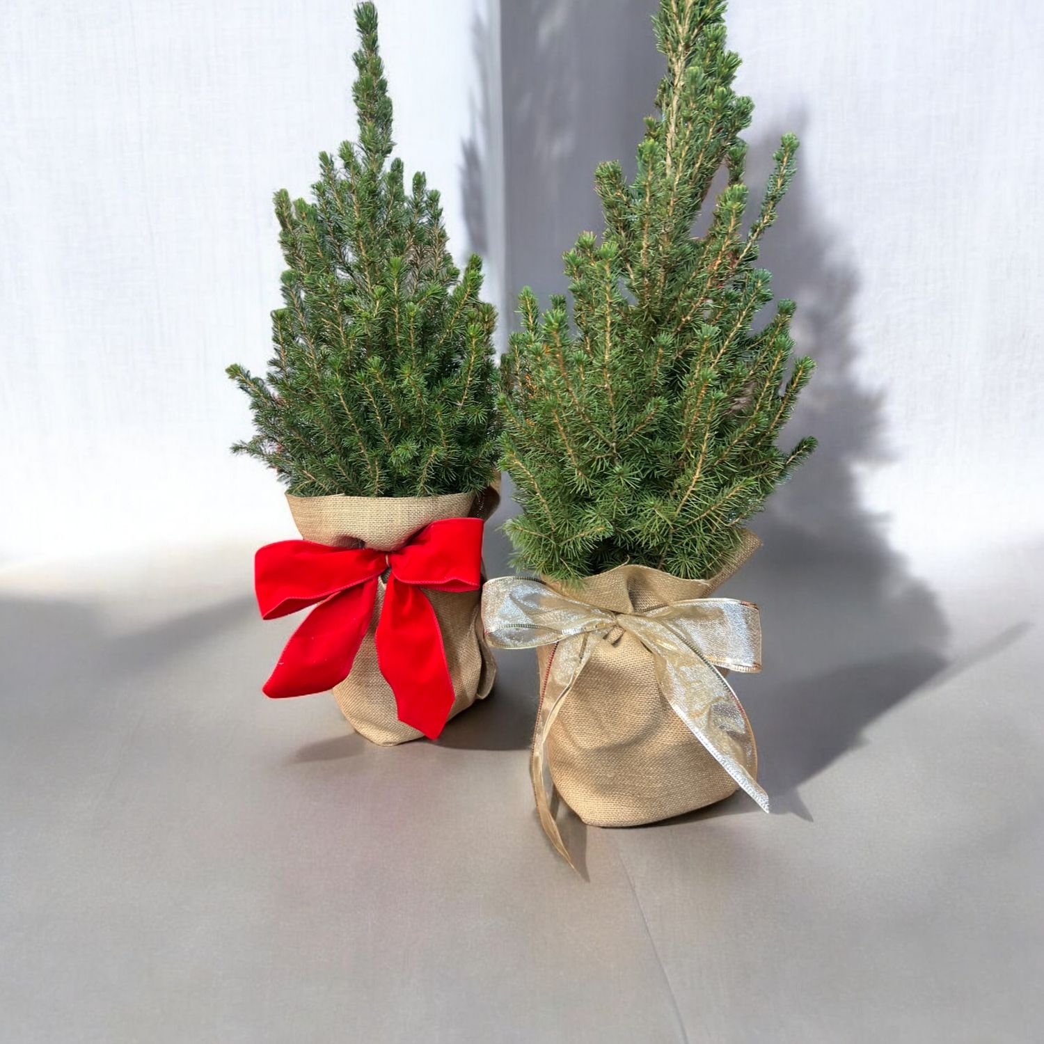 2 Foot Christmas Tree