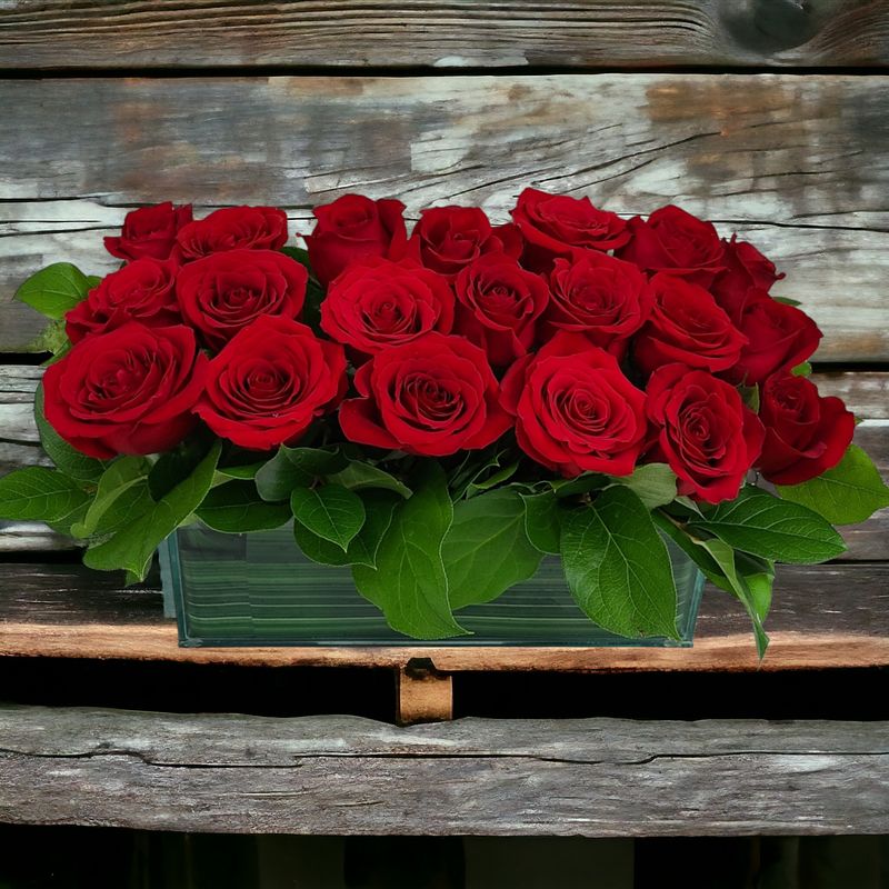 Modern Two Dozen Roses