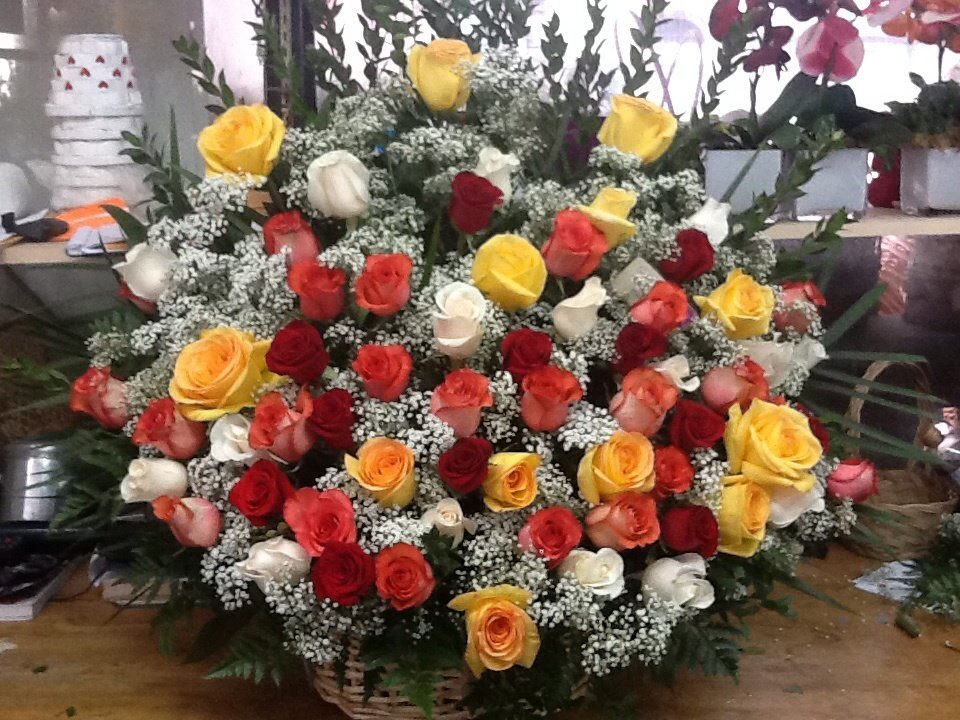 Mixed color roses