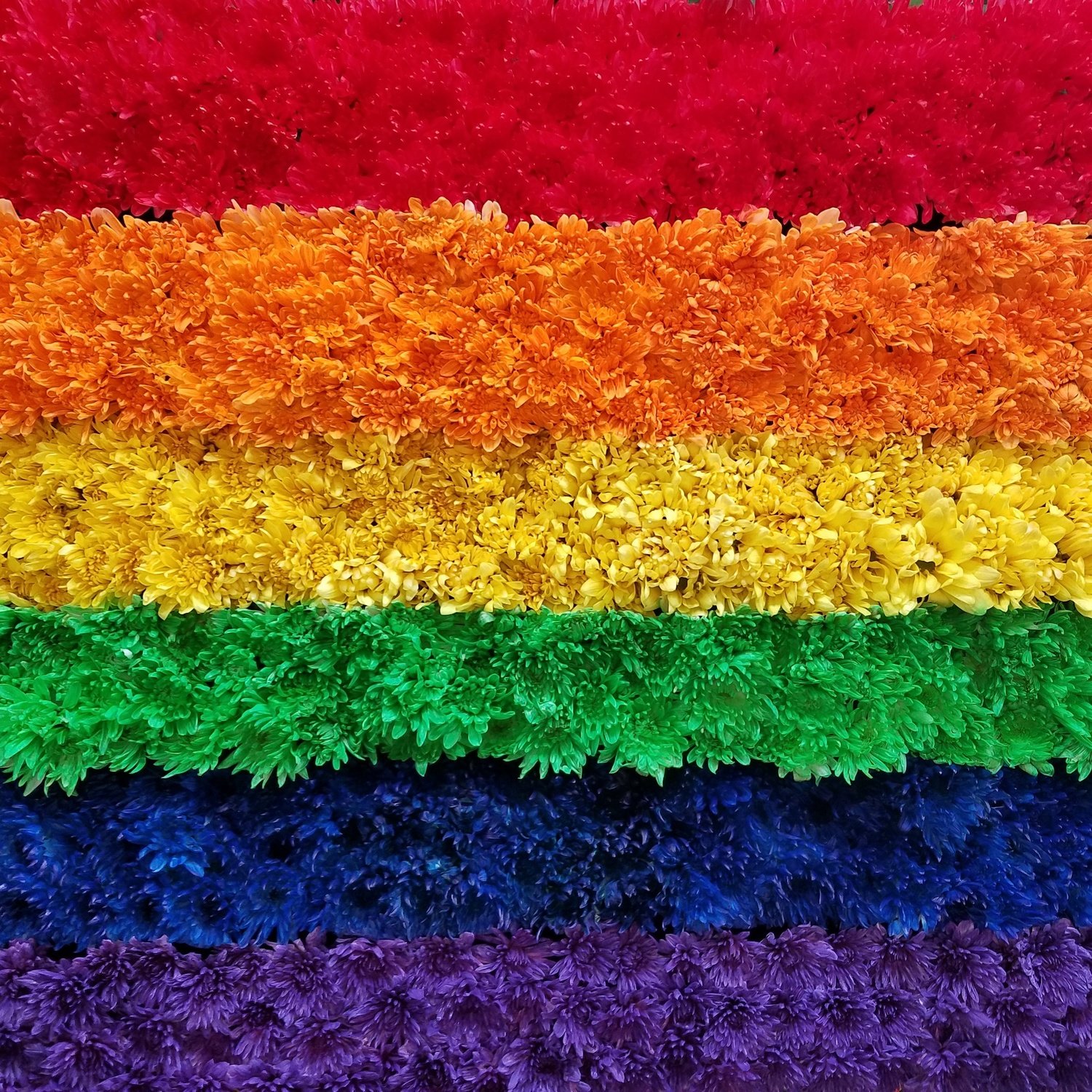 Gay Pride Rainbow Flag