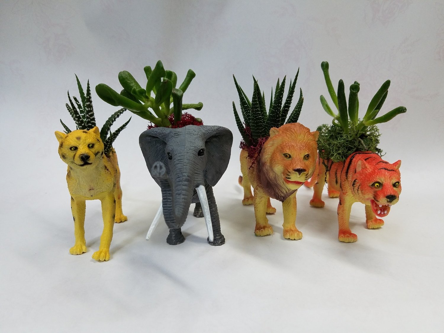 Nelly's Duo Safari Plant Animals Nelly's Duo Safari Plant Animals