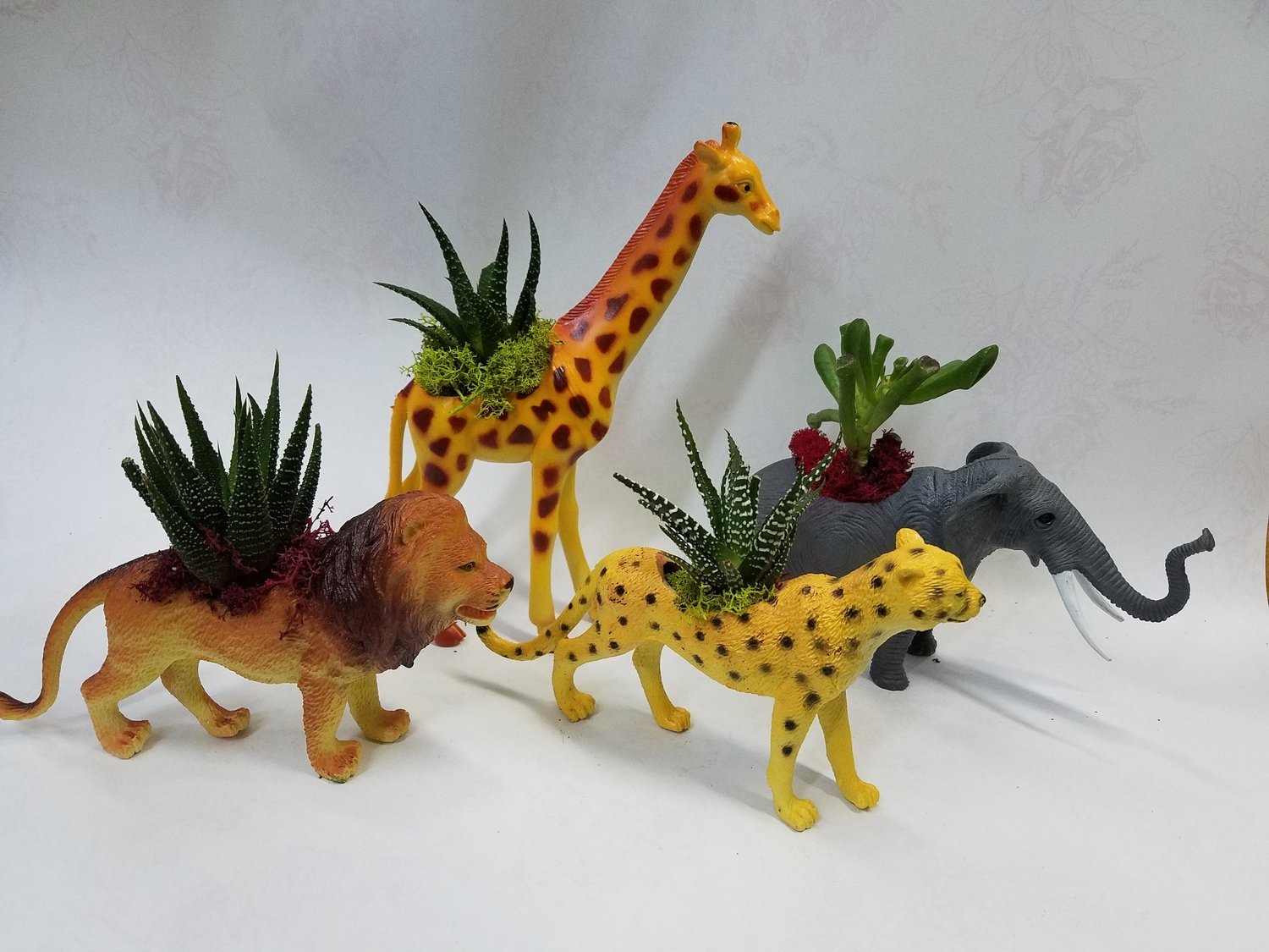 Nelly's Duo Safari Plant Animals Nelly's Duo Safari Plant Animals