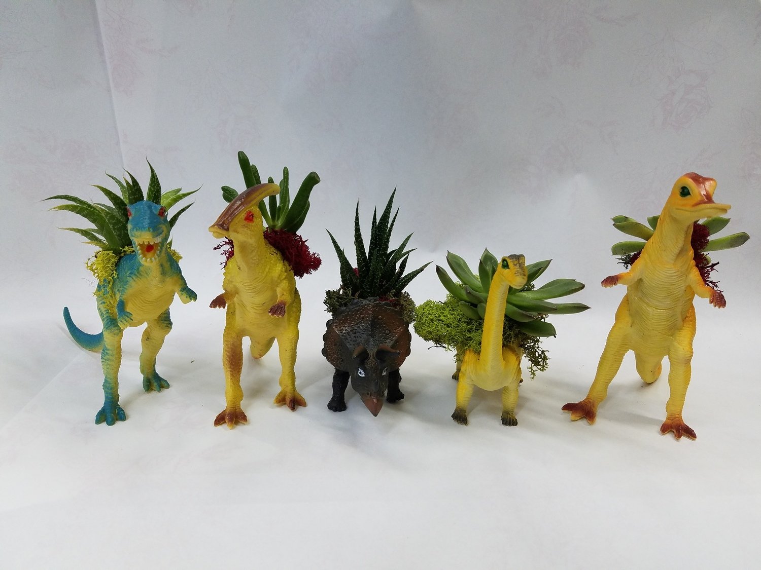 Nelly's Dinosaur Duo Plants