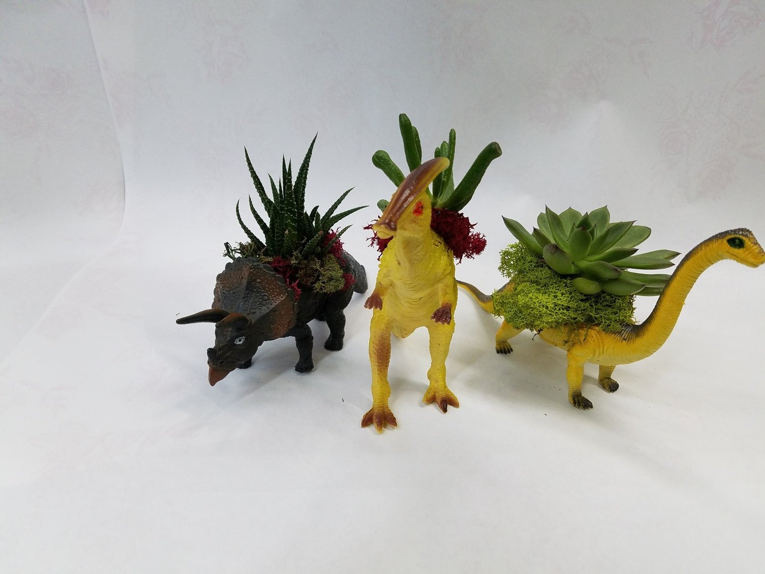 Nelly's Dinosaur Duo Plants