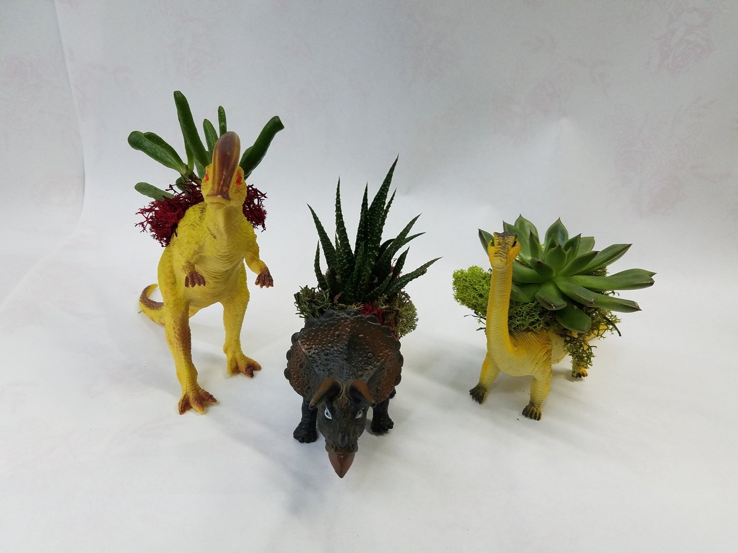 Nelly's Dinosaur Duo Plants