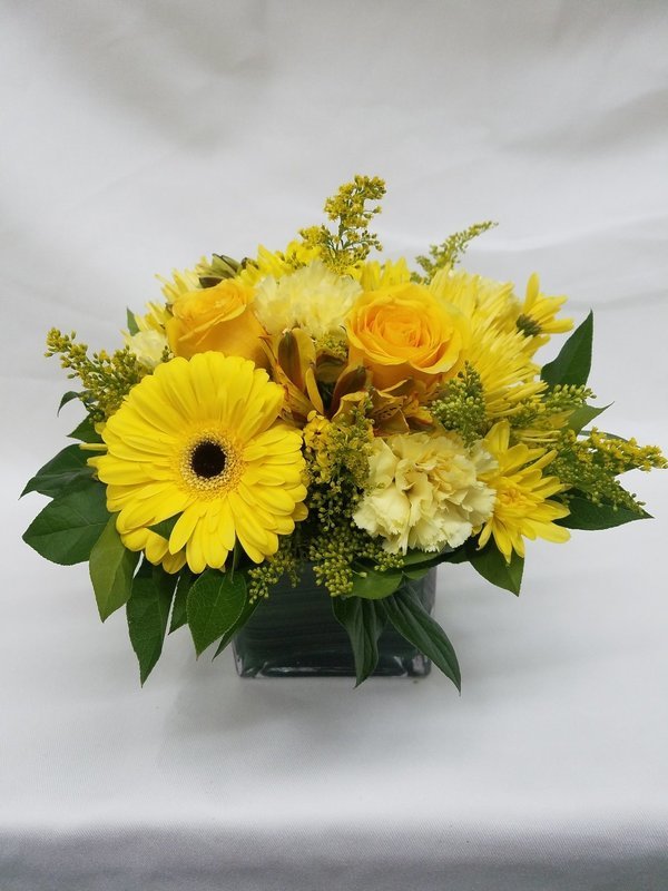 Chic Yellow