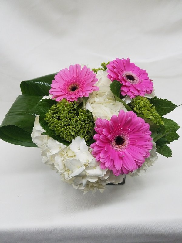 Chic Gerber Daisies