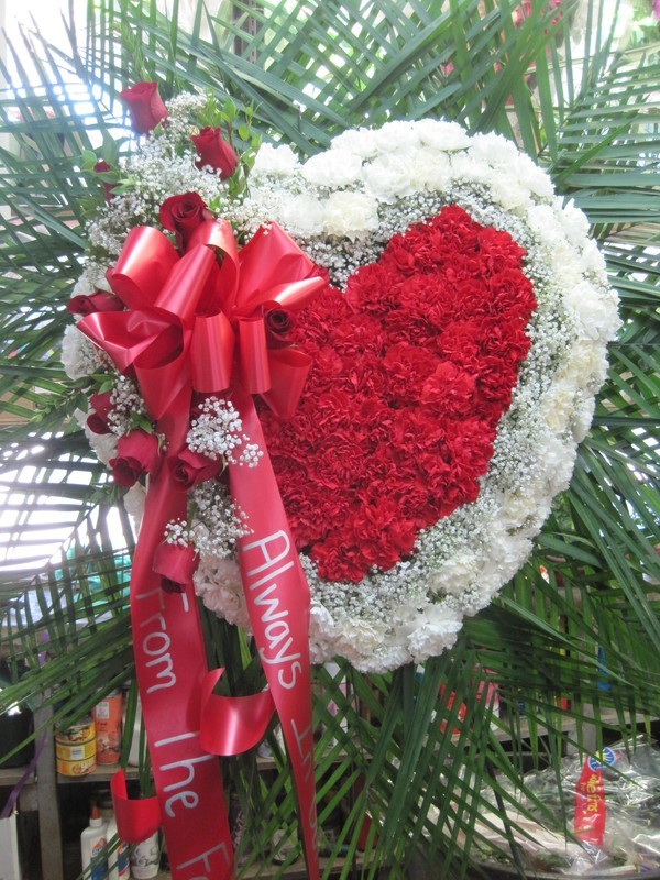 Red And White Sympathy Bleeding Heart