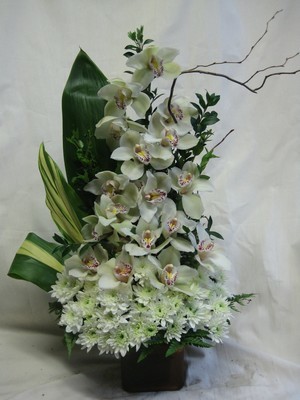 Long Lasting Orchids and Mums