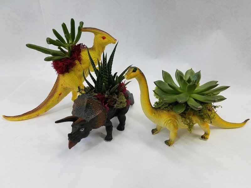 Nelly's Dinosaur Duo Plants Nelly's Dinosaur Duo Plants