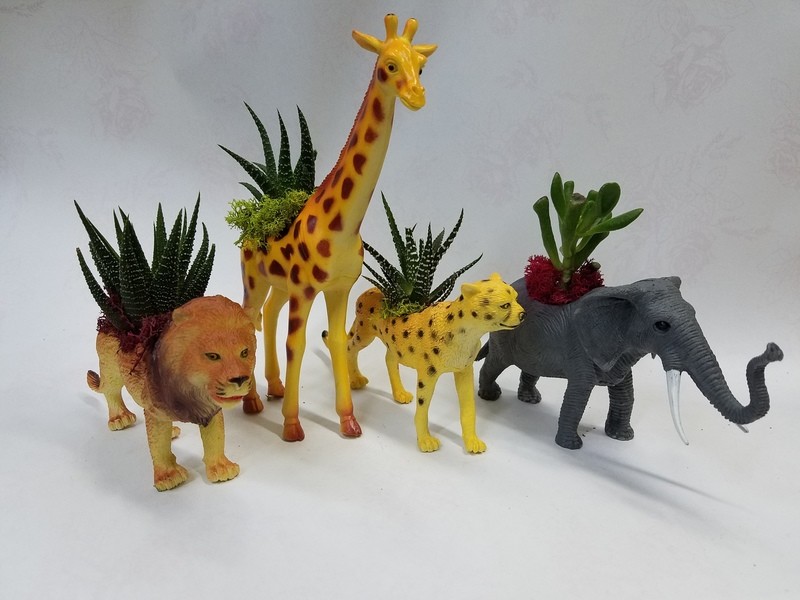 Nelly's Duo Safari Plant Animals Nelly's Duo Safari Plant Animals
