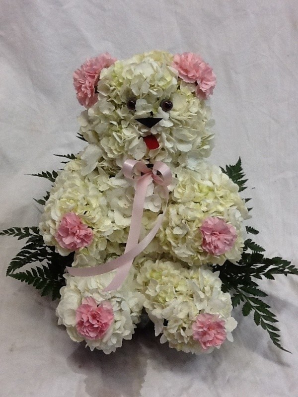 A Beary Beary Cute Girl Bear
