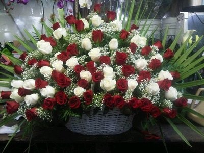 Red And White Sympathy Basket of 50 Roses