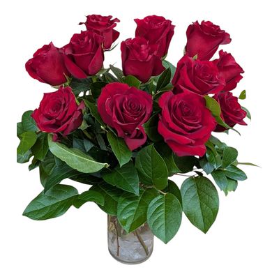 Nelly's Classic 1 Dozen Roses