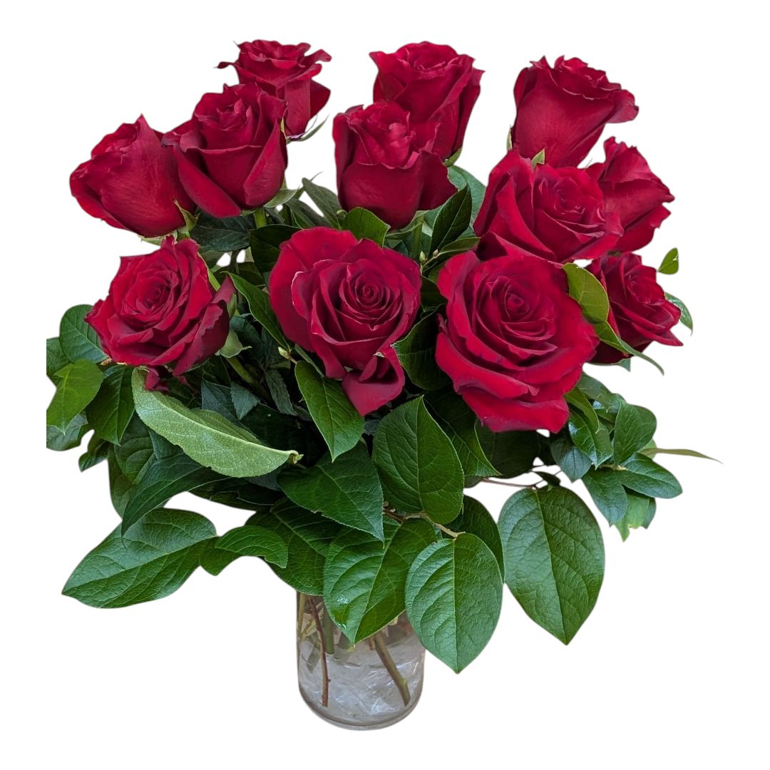 Nelly's Classic 1 Dozen Roses Nelly's Classic 1 Dozen Roses