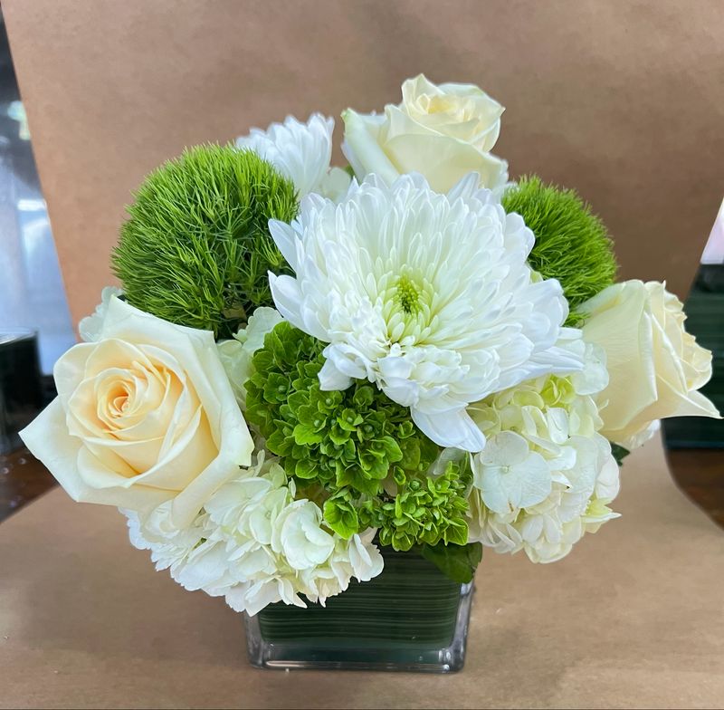 Designer Choice - Neutral Colors