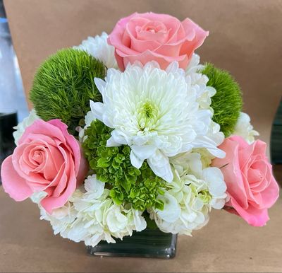 Designer Choice - Pink Blush 