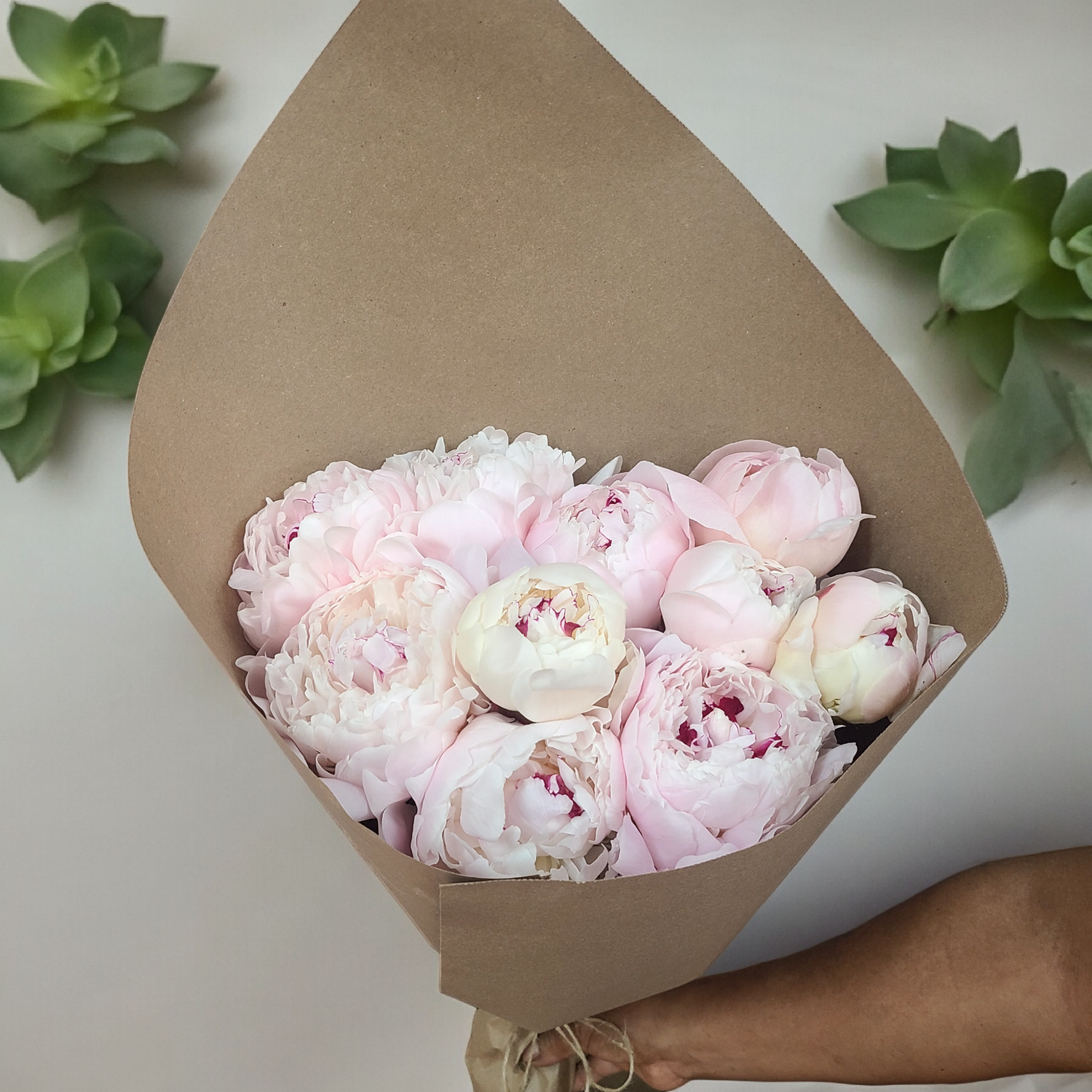 Peony By The Stem