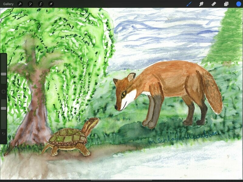 “Curious Fox”