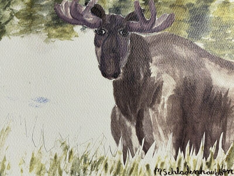 Thank You Card - Moose