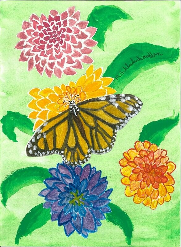 Butterfly Poster Prints  11x14