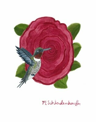 Hummingbird Poster Prints 11x14