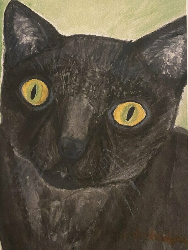 “Jasper Rea (Michelle’s fur baby)” - 11x14  Poster Prints