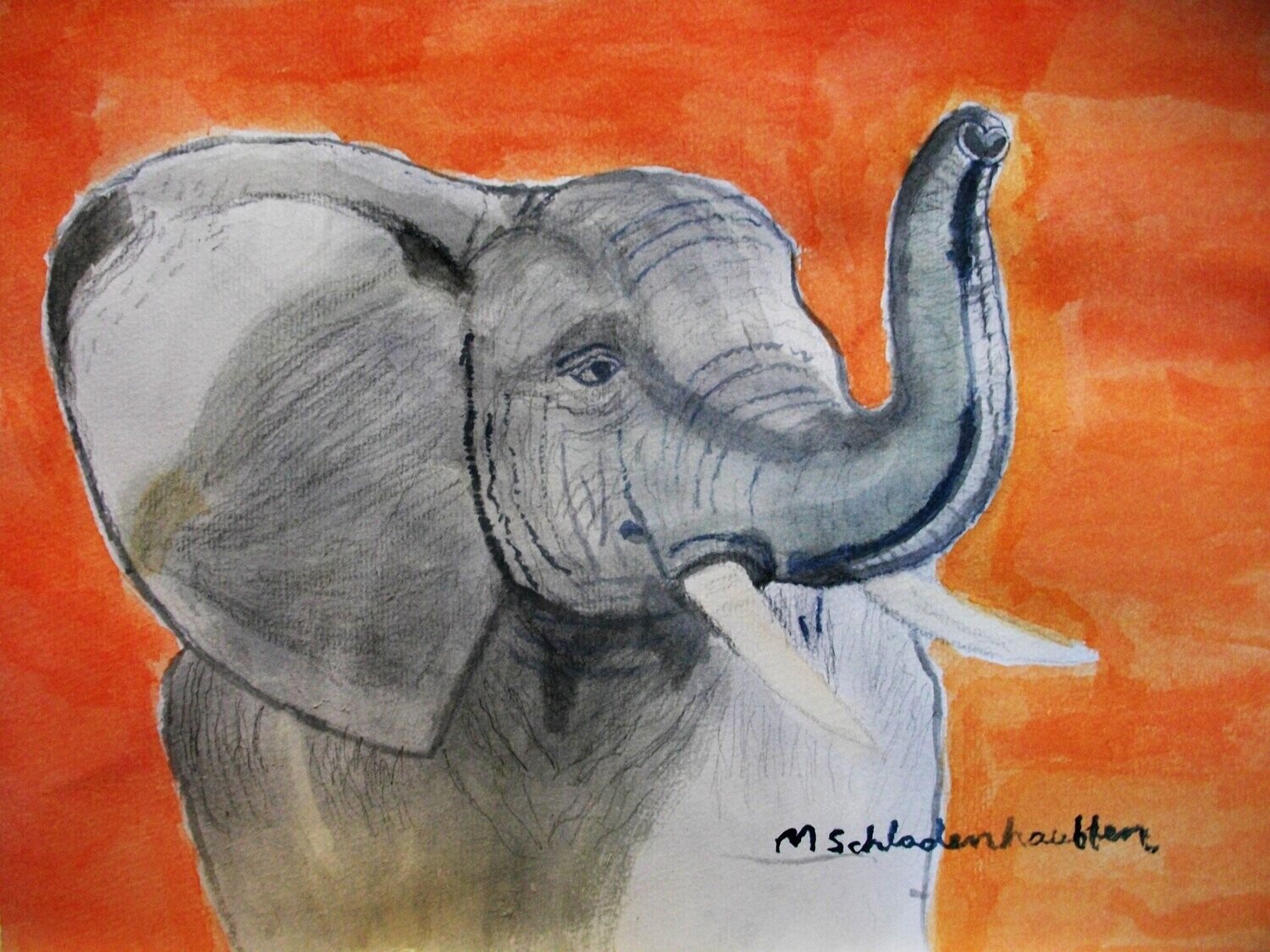 Elephant Poster Prints 11x14